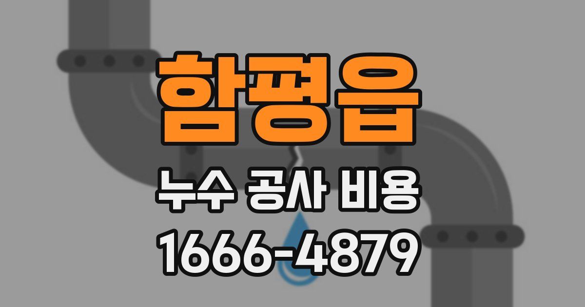 함평읍 누수 공사 비용