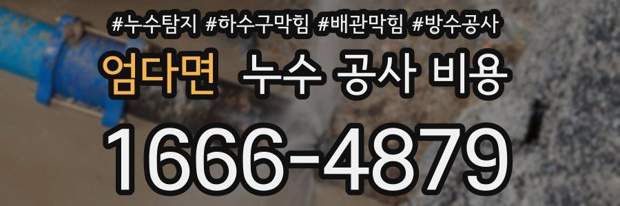 엄다면 누수 공사 비용