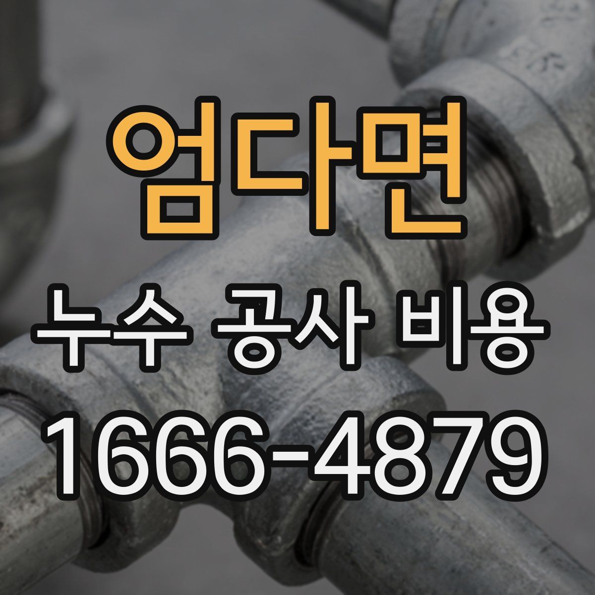엄다면 누수 공사 비용