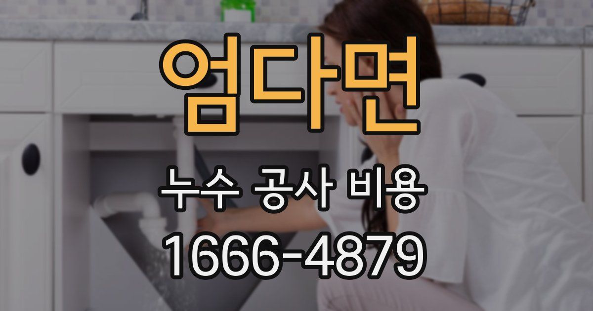 엄다면 누수 공사 비용