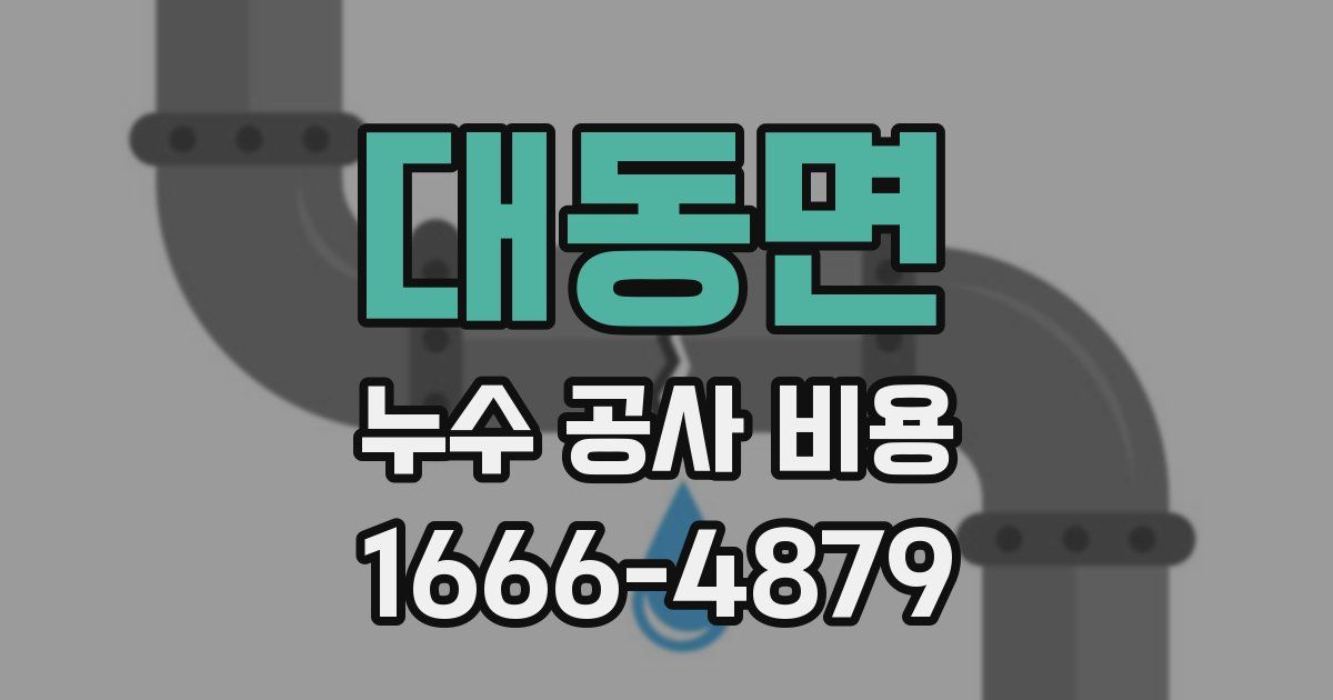 대동면 누수 공사 비용