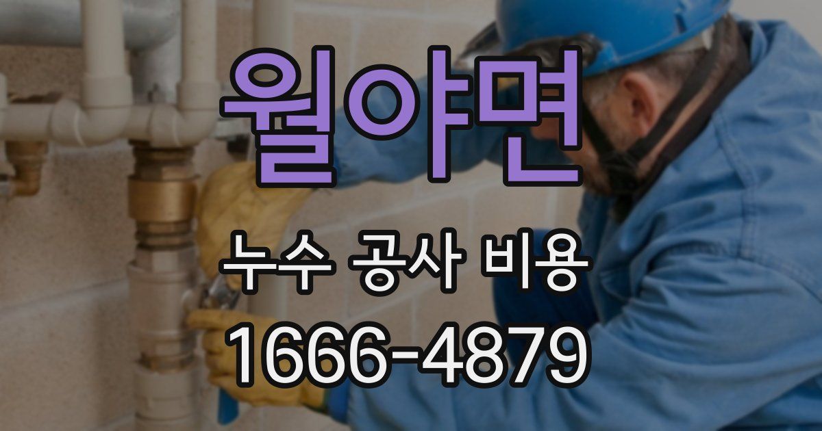 월야면 누수 공사 비용