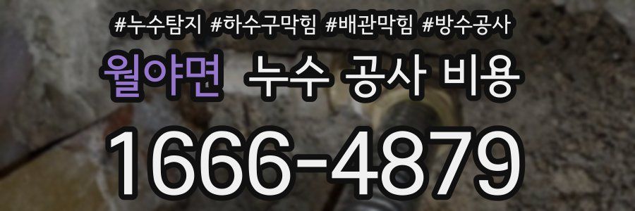 월야면 누수 공사 비용
