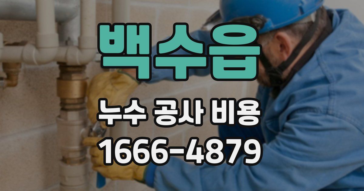 백수읍 누수 공사 비용