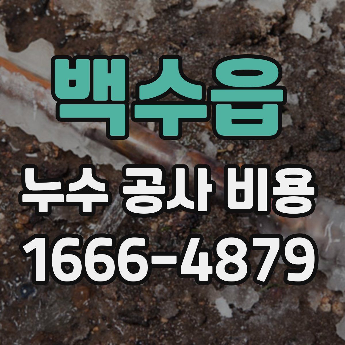 백수읍 누수 공사 비용