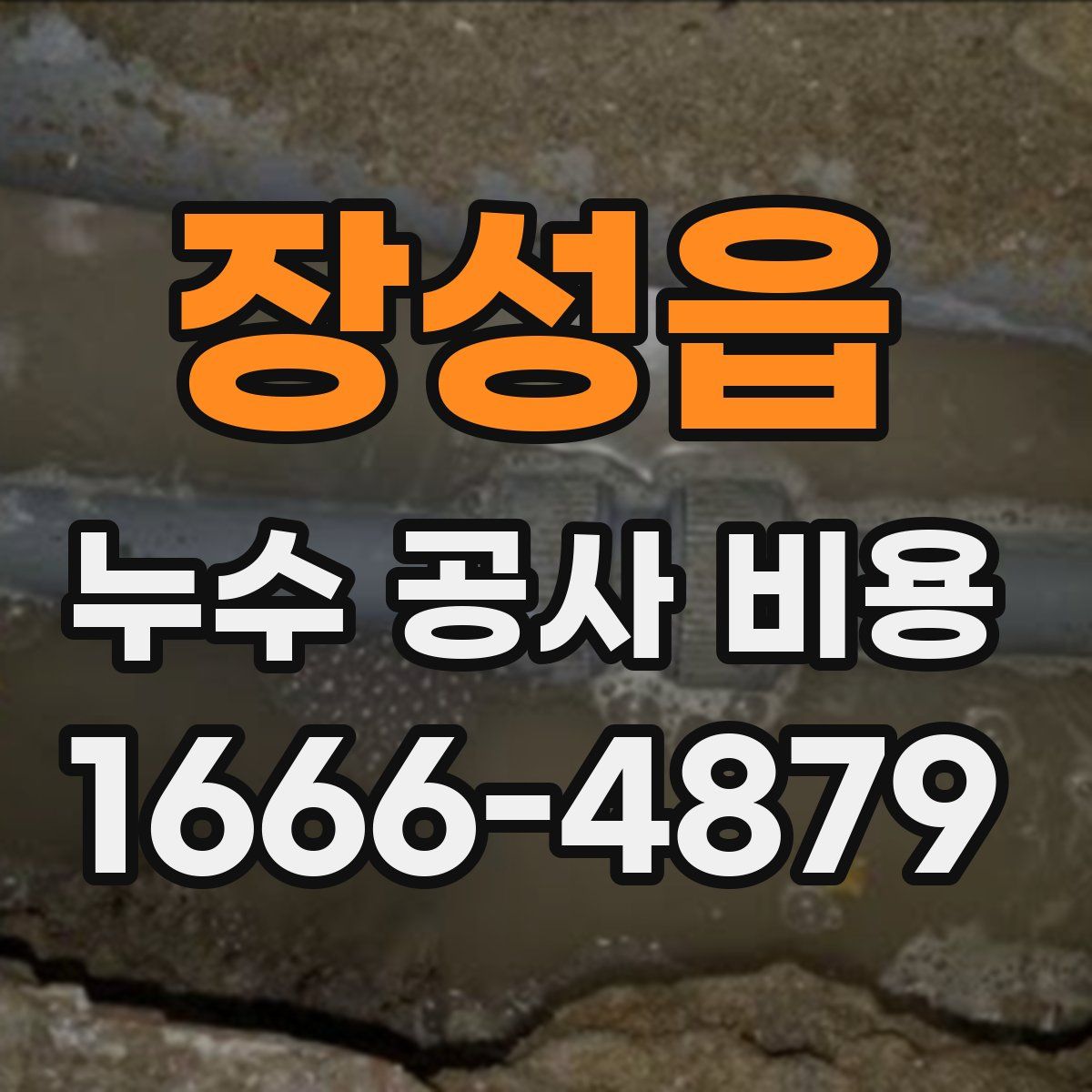 장성읍 누수 공사 비용