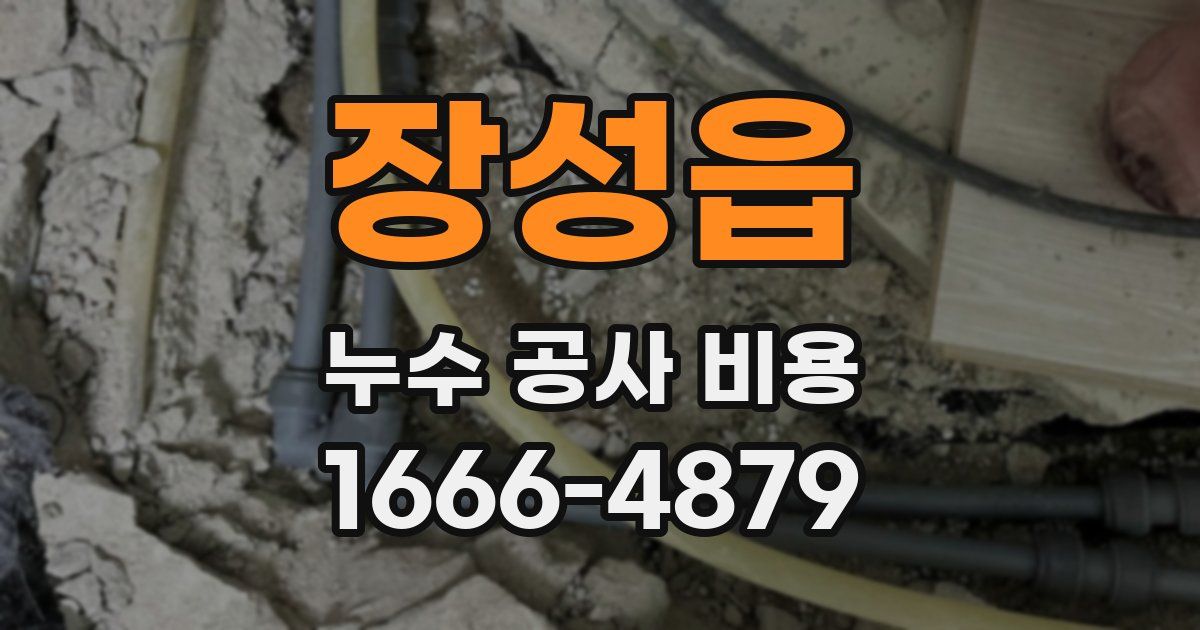 장성읍 누수 공사 비용