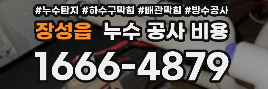 장성읍 누수 공사 비용