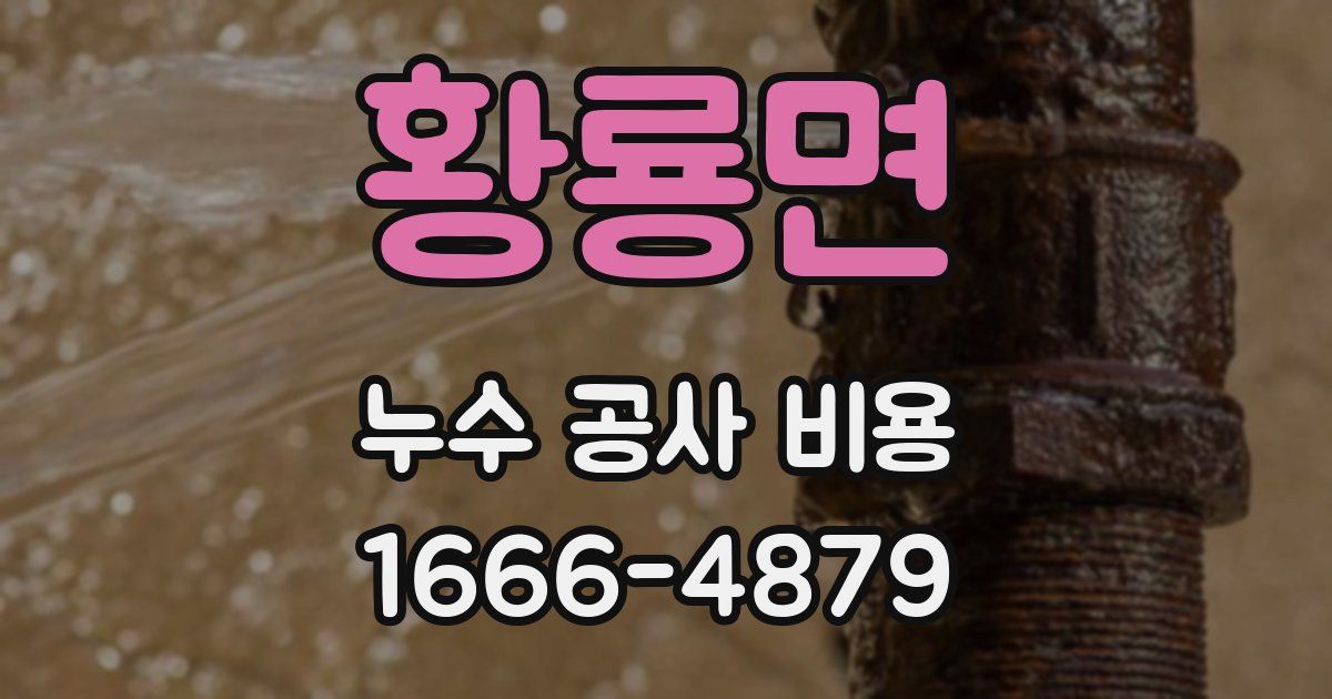 황룡면 누수 공사 비용