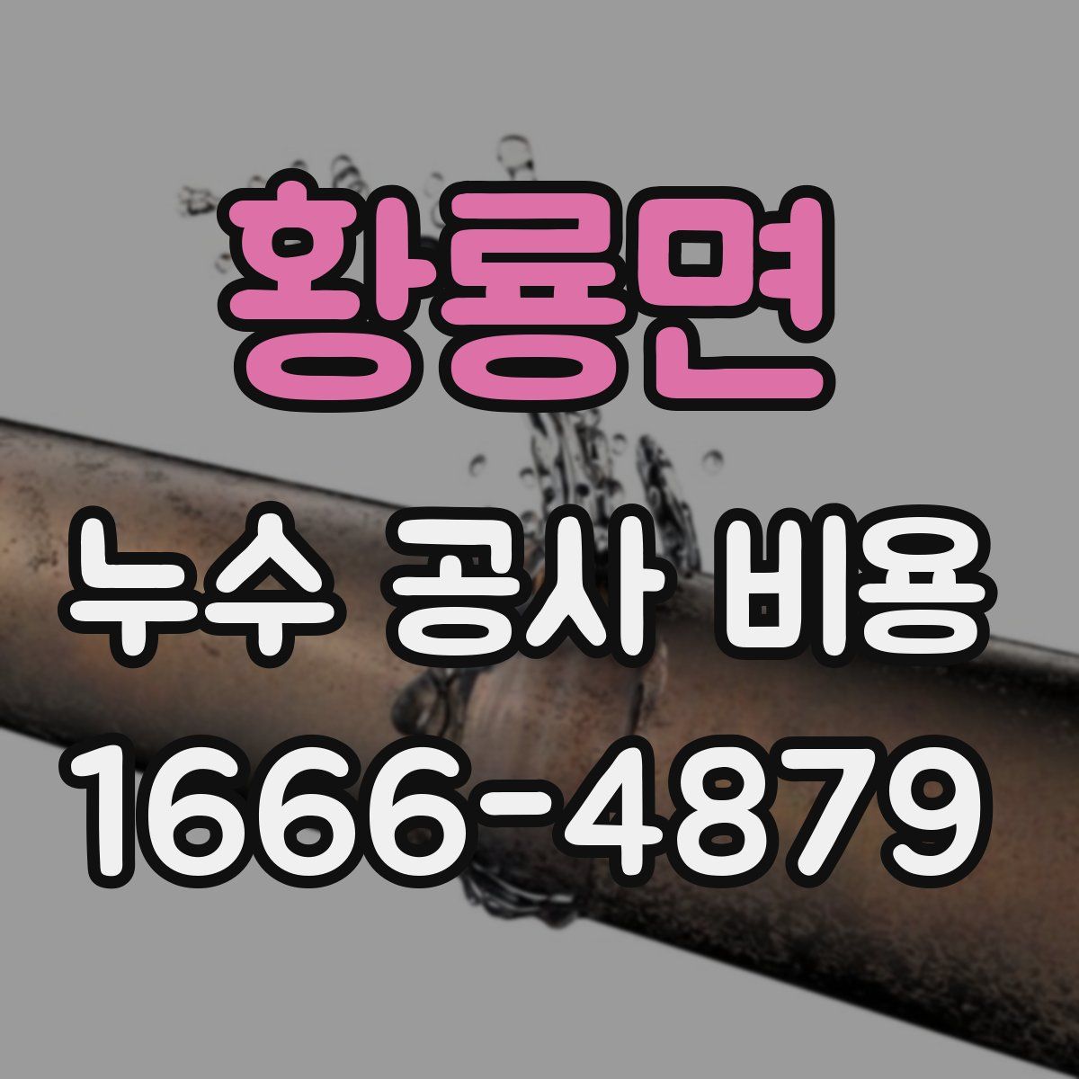 황룡면 누수 공사 비용