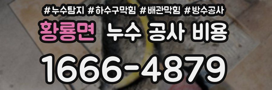 황룡면 누수 공사 비용