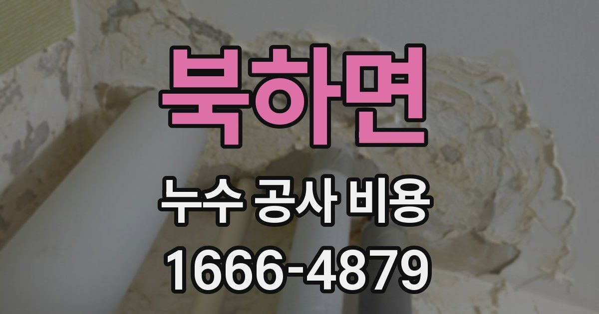 북하면 누수 공사 비용