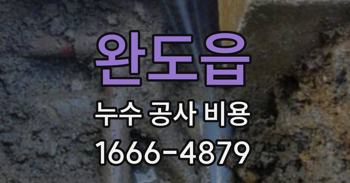 완도읍 누수 공사 비용