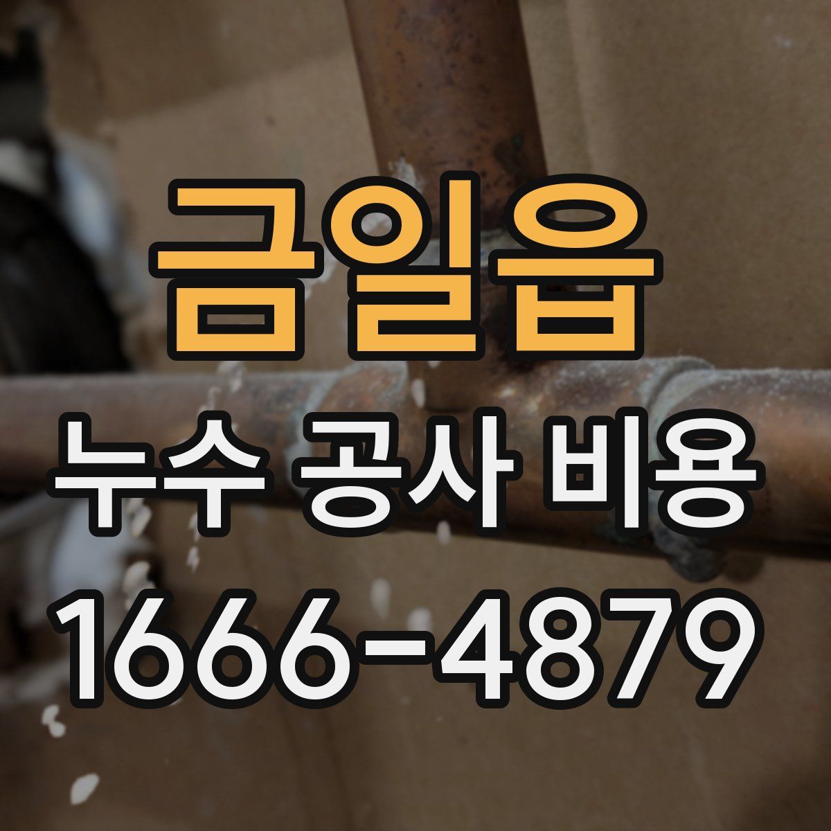 금일읍 누수 공사 비용