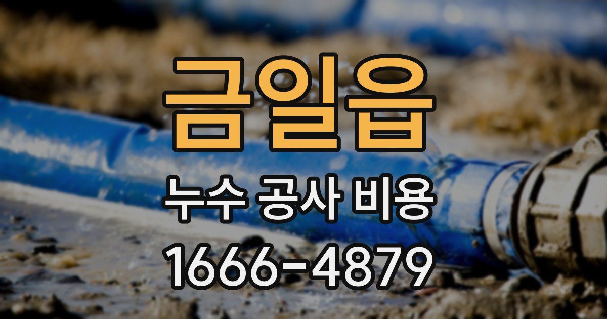 금일읍 누수 공사 비용