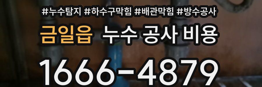 금일읍 누수 공사 비용