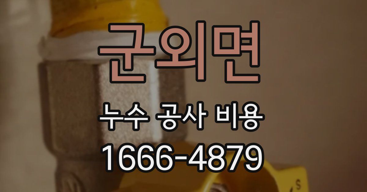 군외면 누수 공사 비용