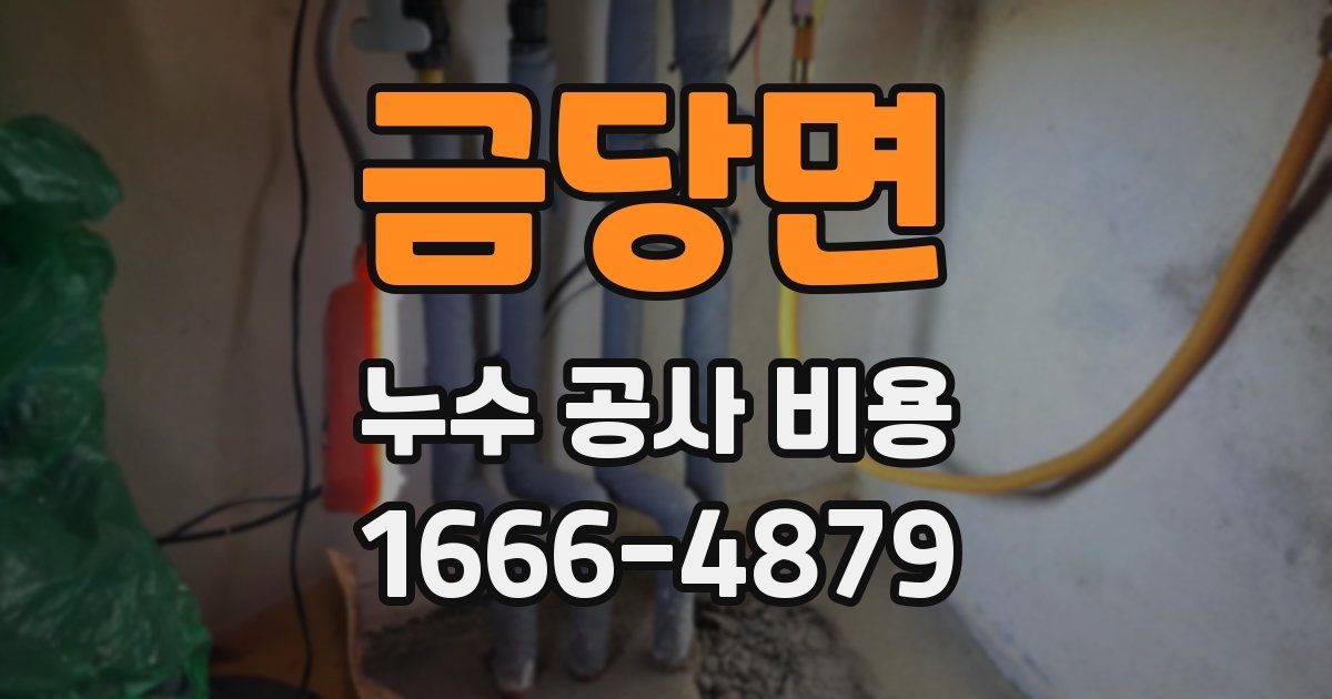 금당면 누수 공사 비용