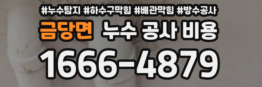 금당면 누수 공사 비용