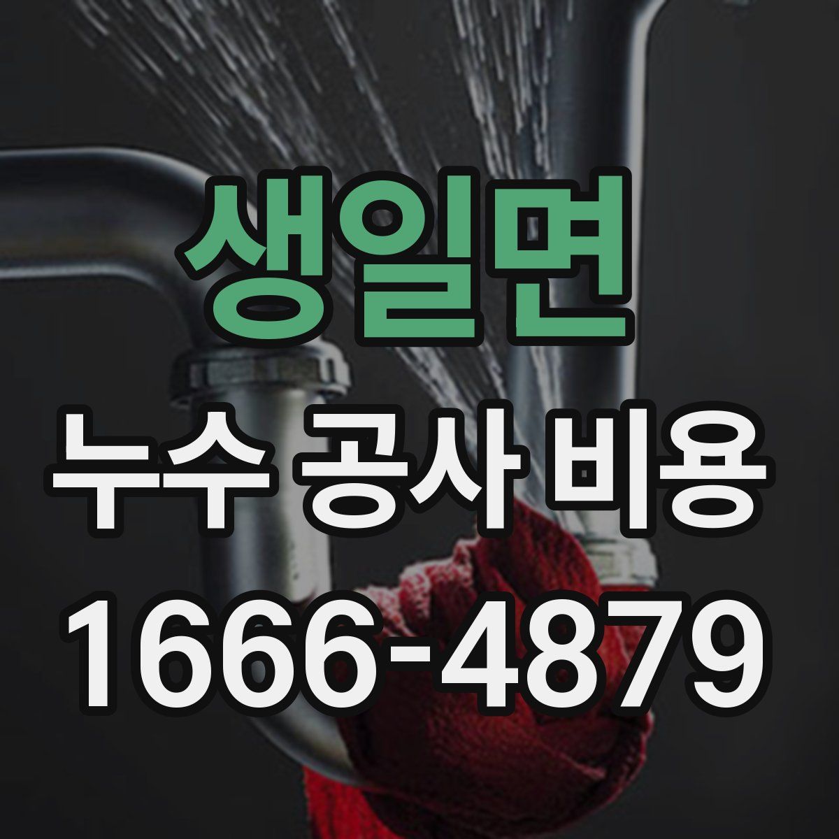 생일면 누수 공사 비용