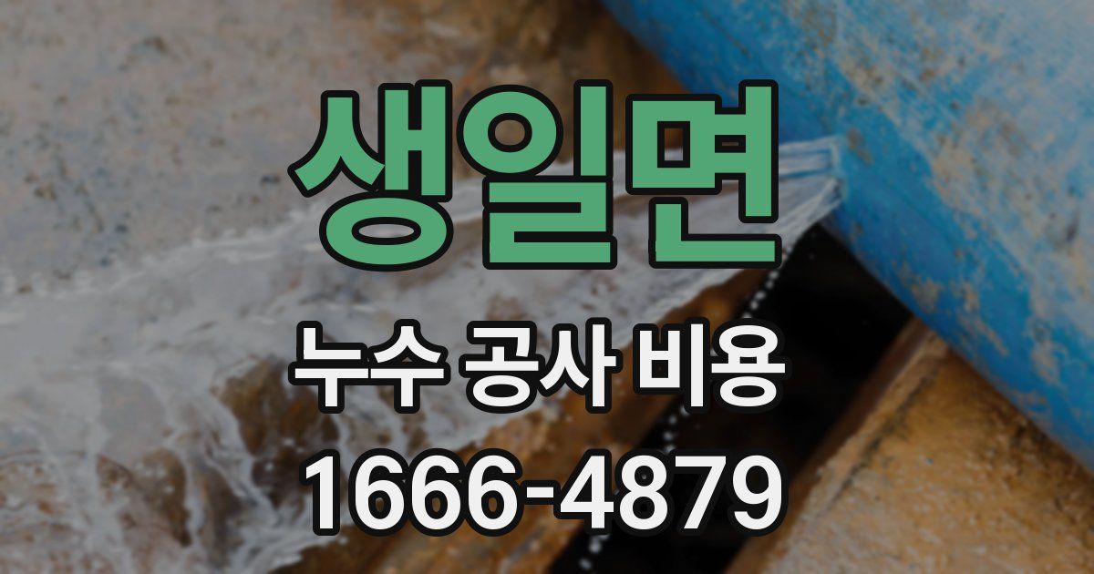 생일면 누수 공사 비용