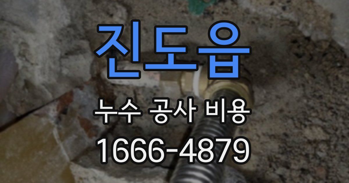 진도읍 누수 공사 비용