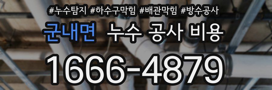 군내면 누수 공사 비용