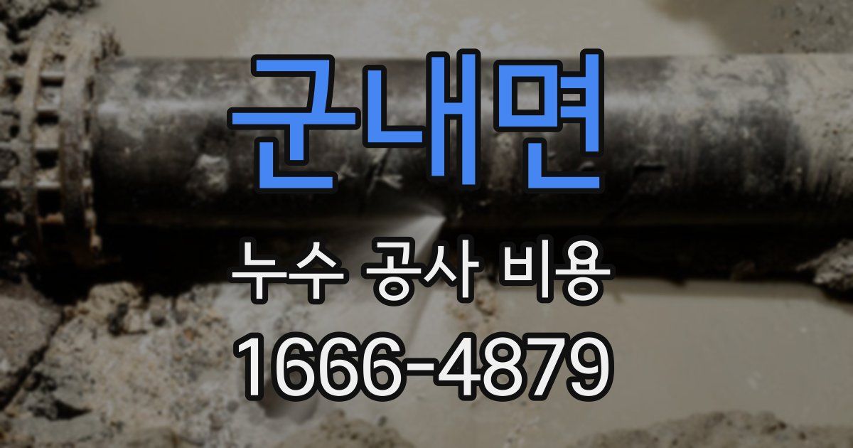 군내면 누수 공사 비용