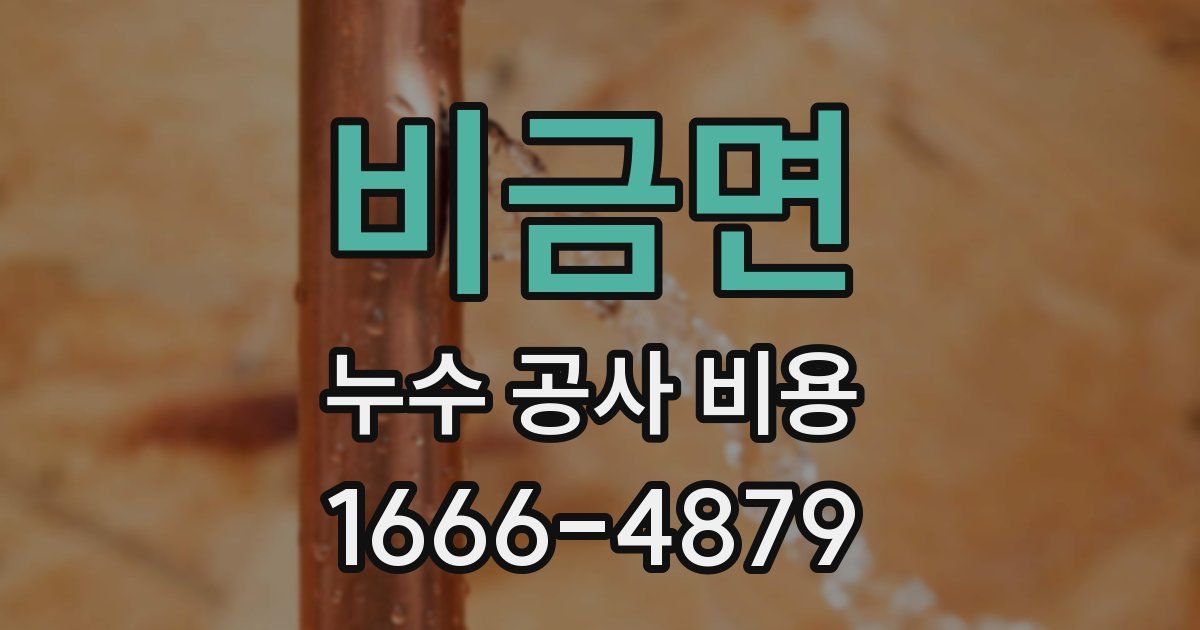 비금면 누수 공사 비용