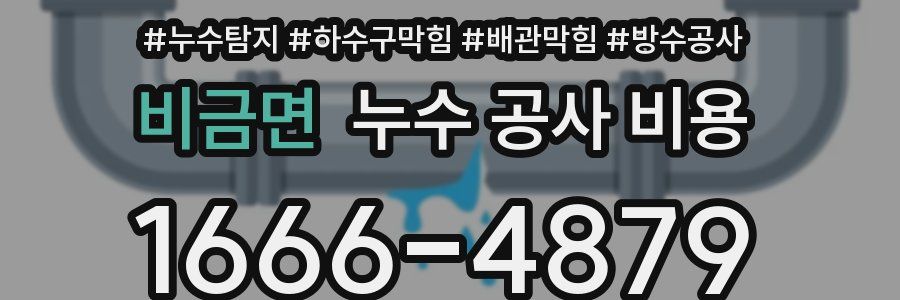 비금면 누수 공사 비용
