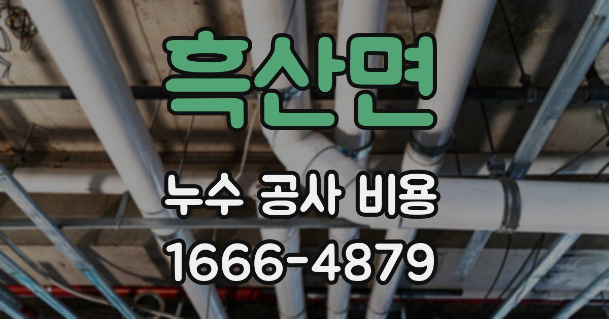흑산면 누수 공사 비용
