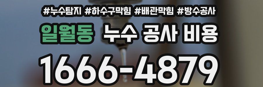 일월동 누수 공사 비용
