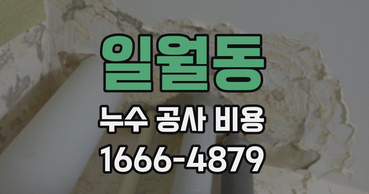 일월동 누수 공사 비용