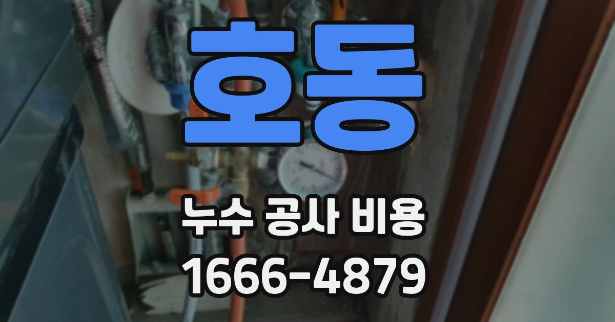 호동 누수 공사 비용