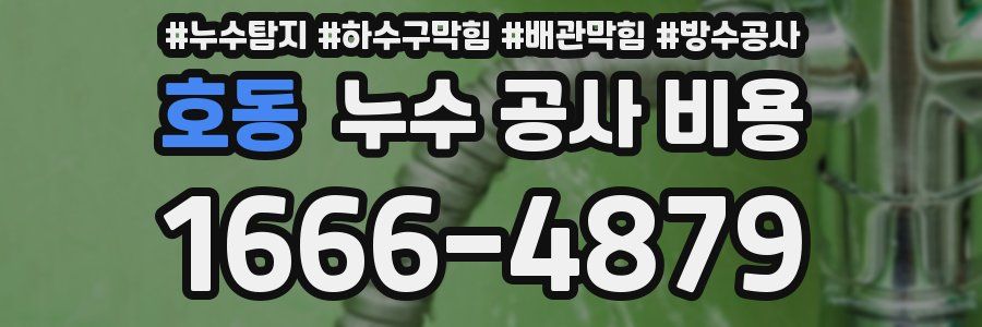 호동 누수 공사 비용