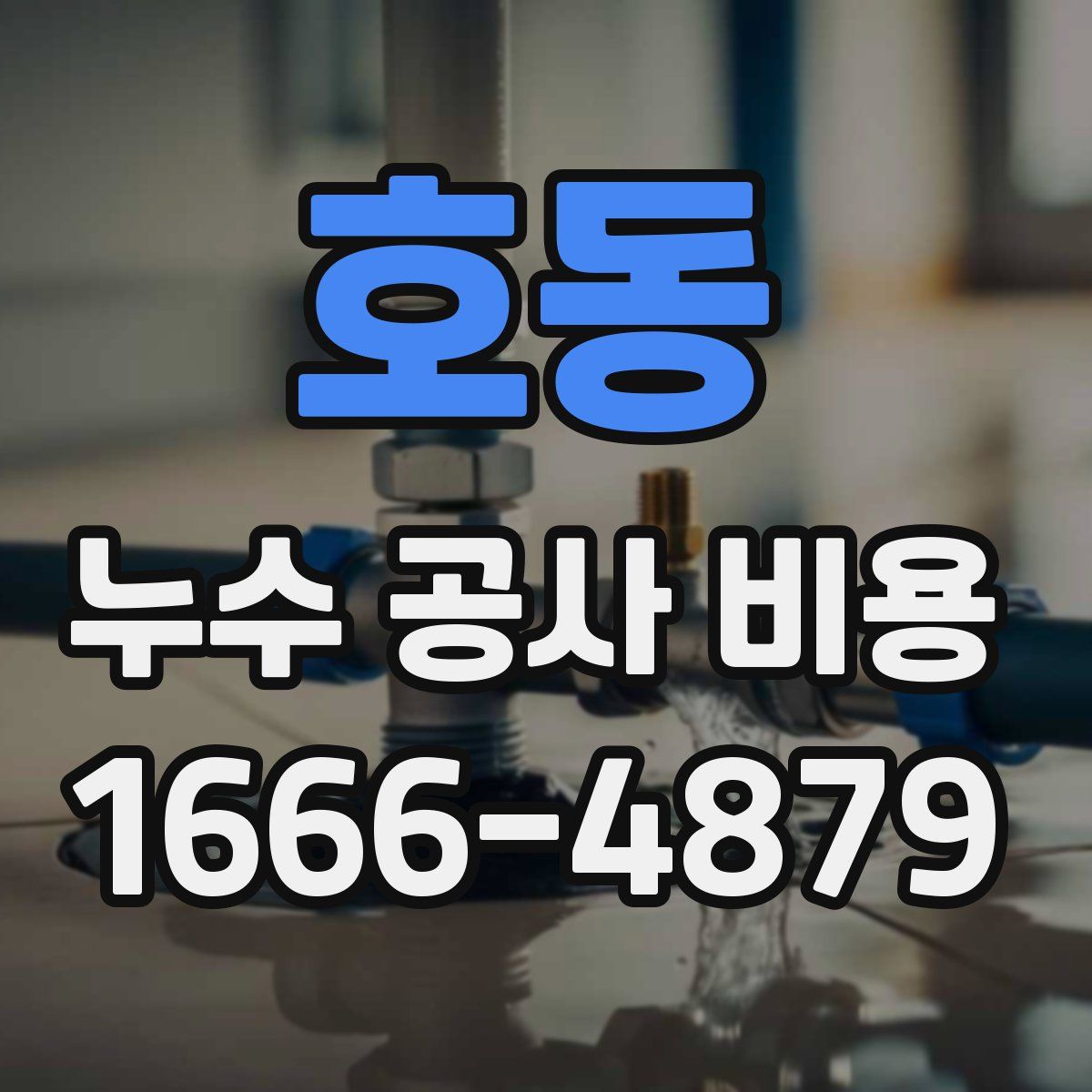 호동 누수 공사 비용