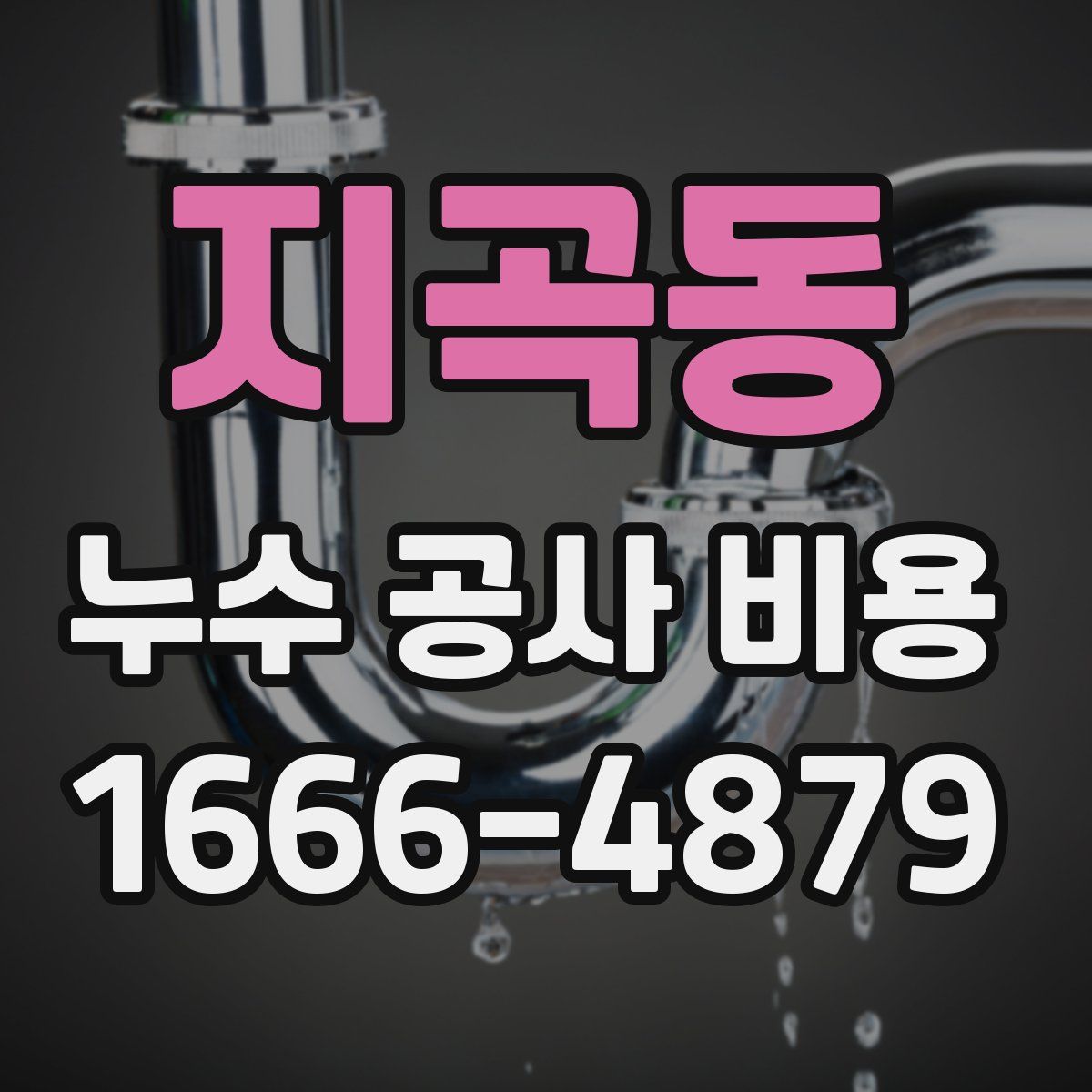 지곡동 누수 공사 비용