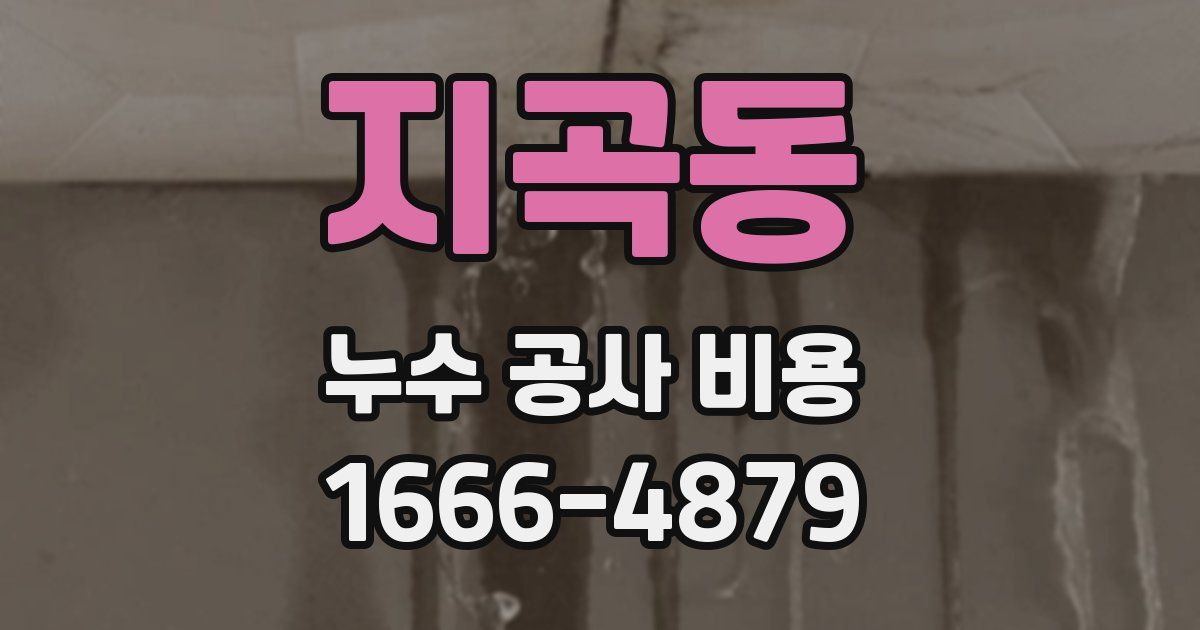 지곡동 누수 공사 비용