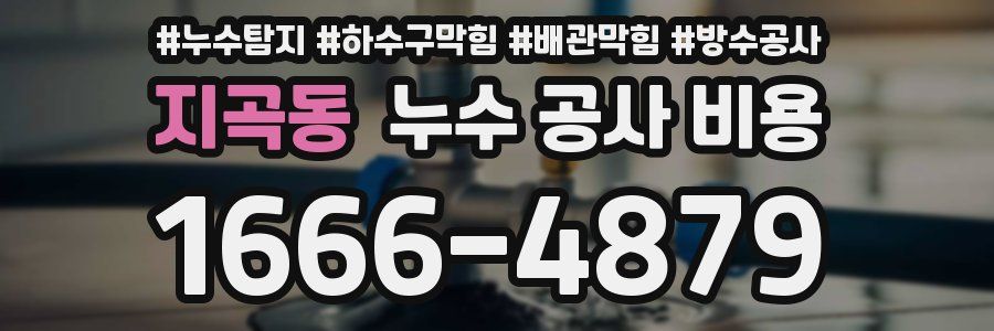 지곡동 누수 공사 비용