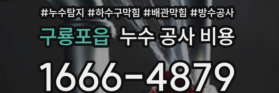 구룡포읍 누수 공사 비용