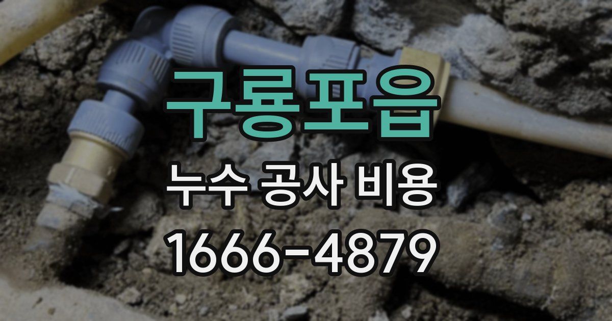 구룡포읍 누수 공사 비용