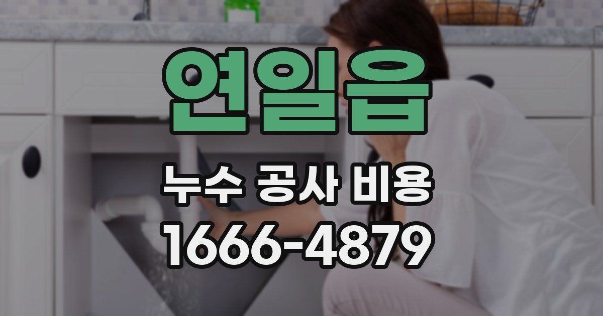 연일읍 누수 공사 비용