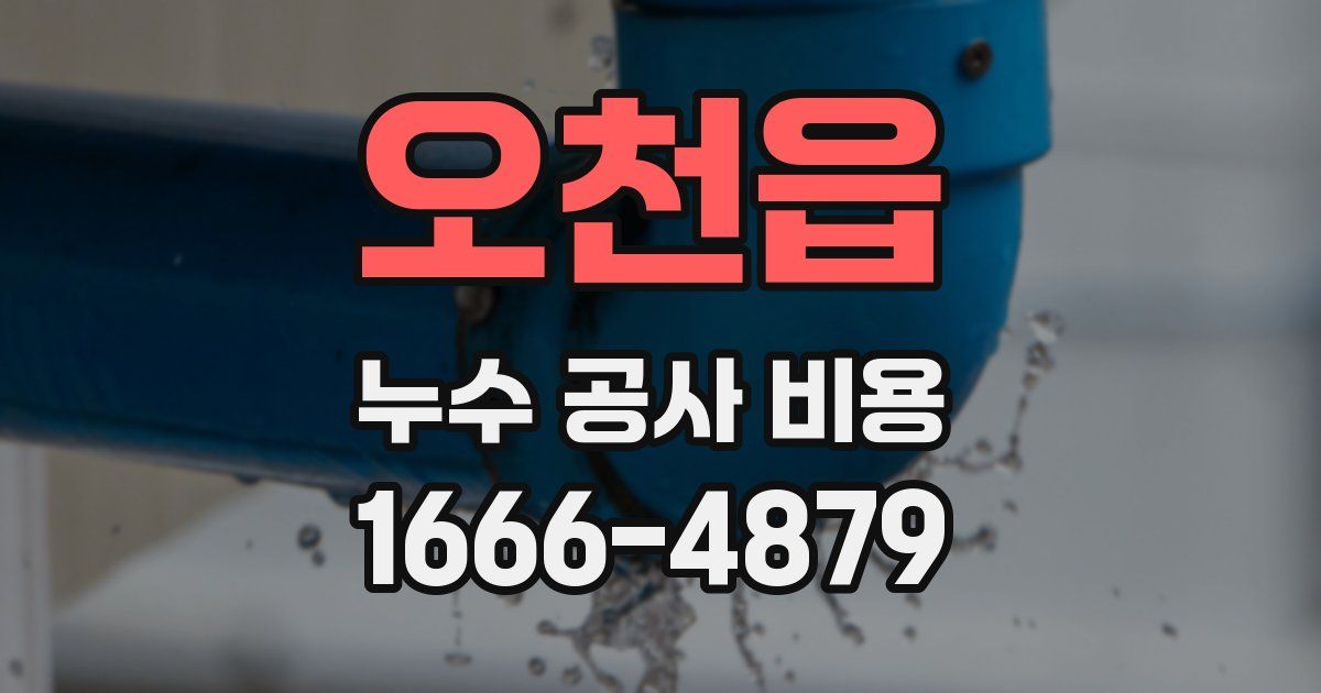 오천읍 누수 공사 비용