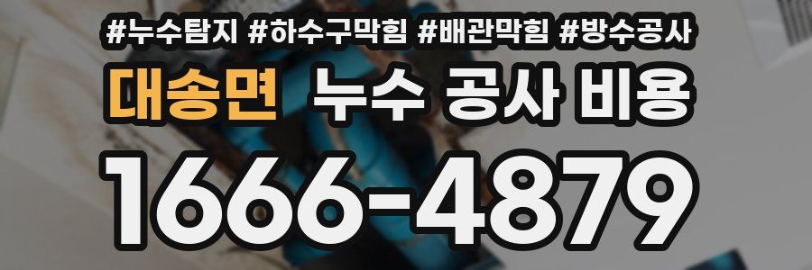 대송면 누수 공사 비용