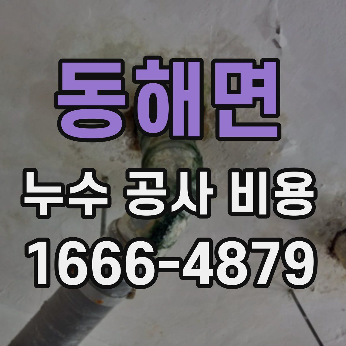 동해면 누수 공사 비용
