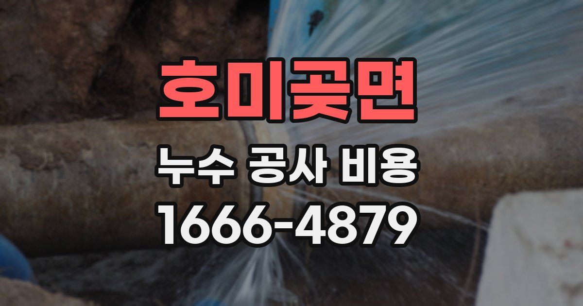 호미곶면 누수 공사 비용