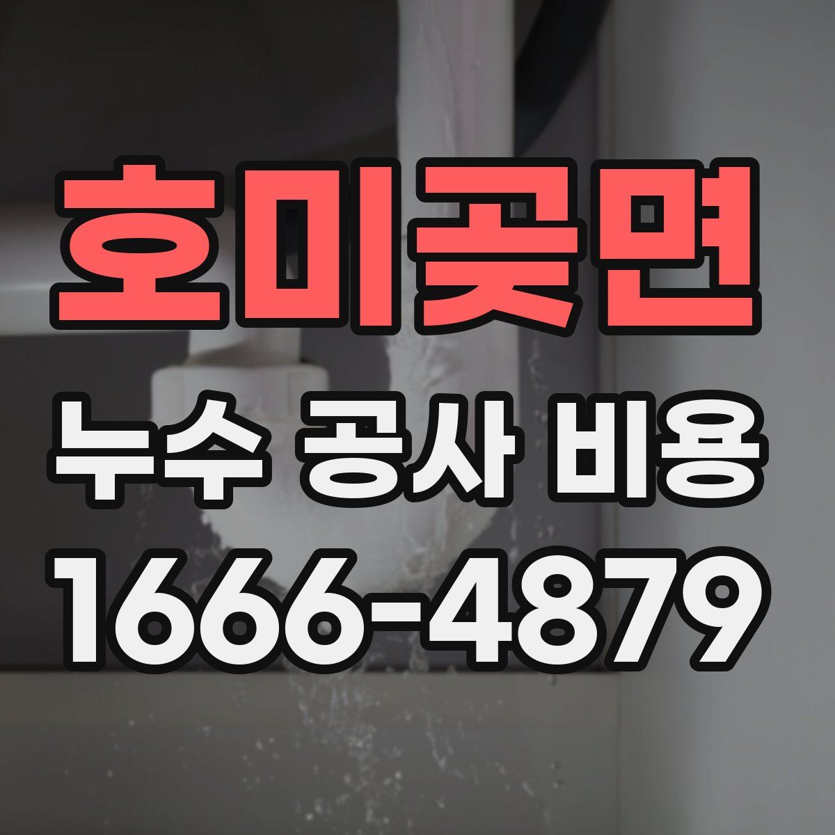 호미곶면 누수 공사 비용