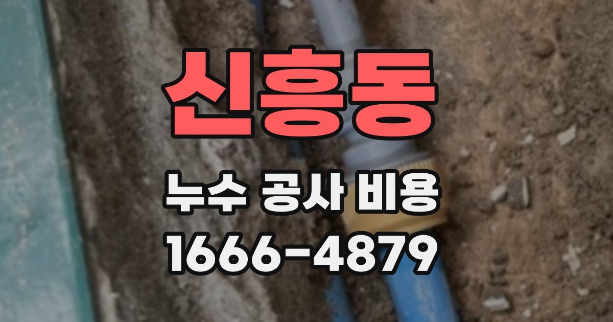 신흥동 누수 공사 비용