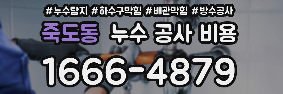 죽도동 누수 공사 비용