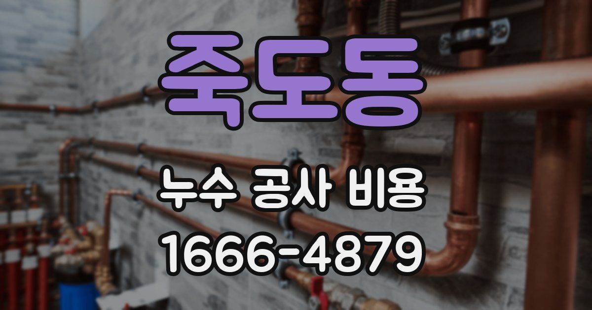 죽도동 누수 공사 비용